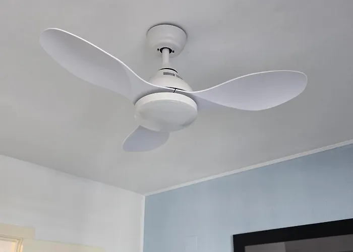 Apto Acceso Directo Playa La Fossa Appartamento *